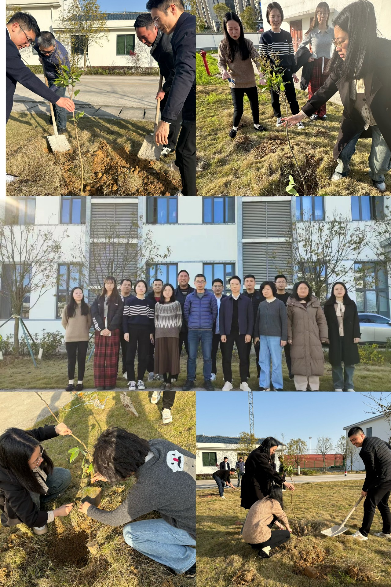2024-3-12綠色陸港，美麗寧德，阮克妙拍攝.jpg